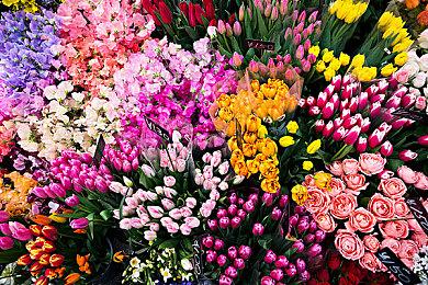 EA《大学橄榄球25》更新 为玩家加入生成式AI工具