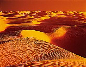 《糖豆人》联动《地平线：零之曙光》正式上线 呆萌亚洛伊